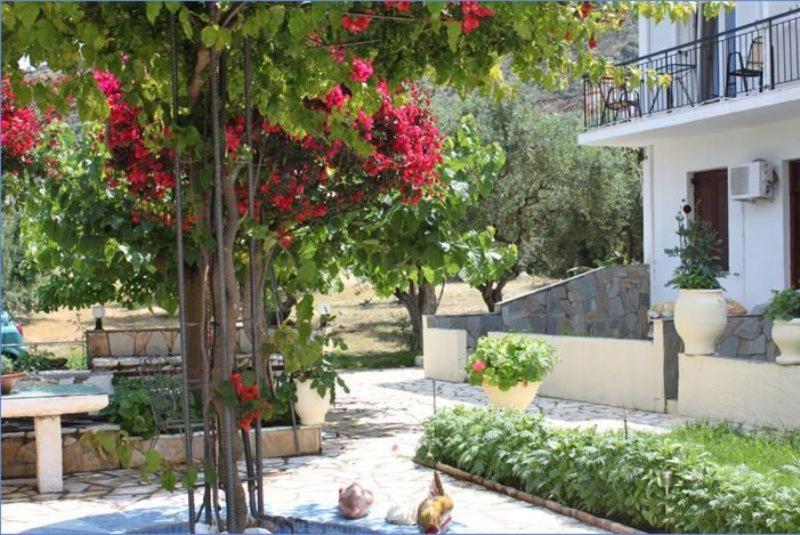 Ballas Apartments Agia Efimia Luaran gambar